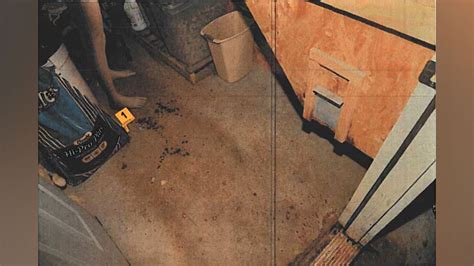 maggie murdaugh autopsy pictures|Photo Gallery: See evidence photos from Alex Murdaughs。